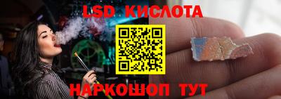 прущие грибы Пушкино