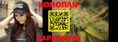 прущие грибы Пушкино